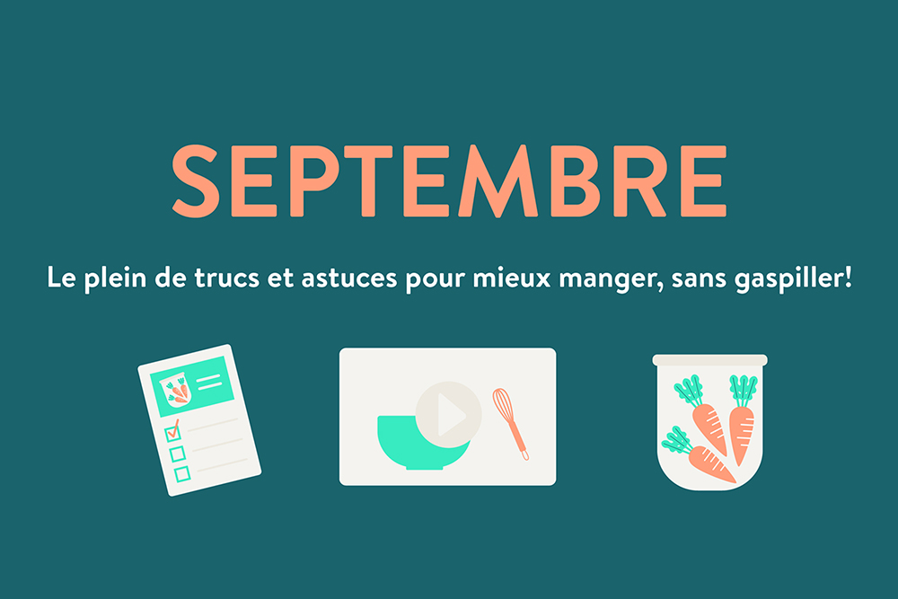 Newsletters Jour de la Terre